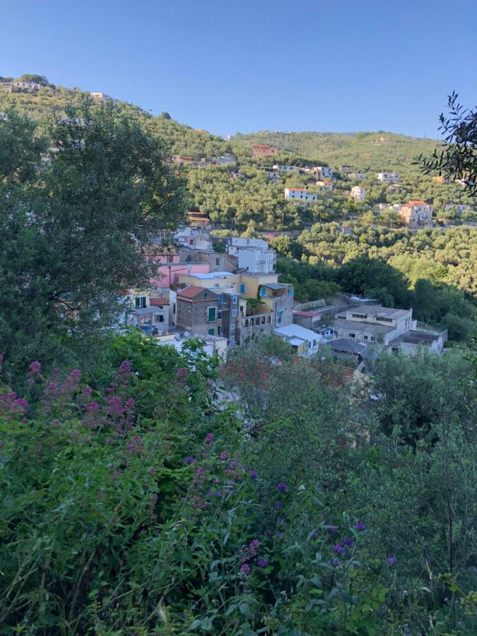 Petit Maison Jeranto Nerano Eksteriør bilde